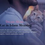 dream interpretation muslim